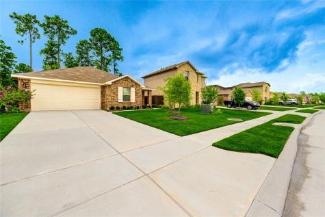 21577 Starry Night Drive New Caney TX 77357