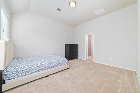 8807 Star Gaze Court Richmond TX 77407