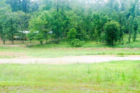 317 Hickory Drive E Livingston TX 77351