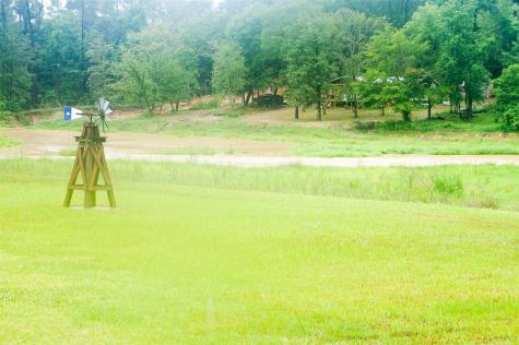 317 Hickory Drive E Livingston TX 77351
