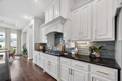 4919 Olive Province Lane Manvel TX 77578