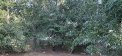 603 Marrow Lufkin TX 75904