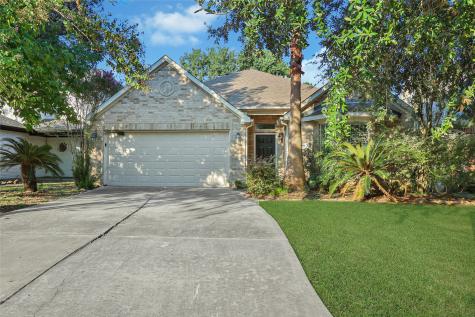 29 Presidio Road Montgomery TX 77356
