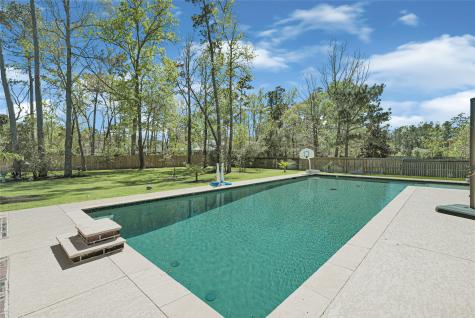 6007 N Ossineke Drive Spring TX 77386