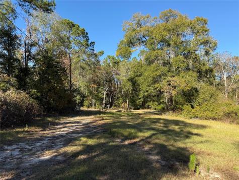 719 County Road 3880 Cleveland TX 77328