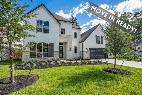 123 Stellar Hills Court Willis TX 77318