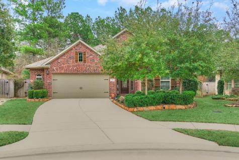 230 Southern Iris Court Montgomery TX 77316