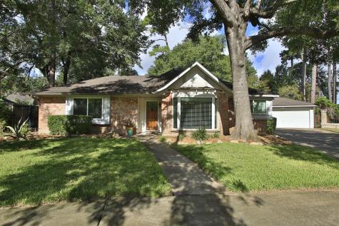 15207 Hillbrook Court Houston TX 77070