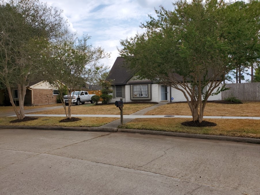 3234 Cherry Springs Drive Missouri City TX 77459