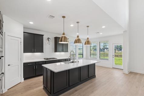 21006 Yellow Ipe Grove Court Tomball TX 77377