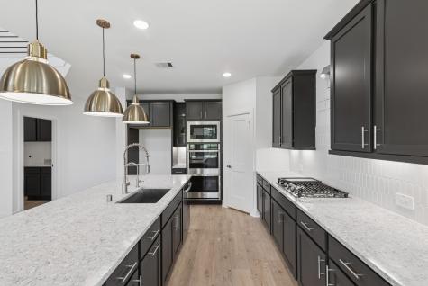 21006 Yellow Ipe Grove Court Tomball TX 77377