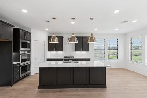 21006 Yellow Ipe Grove Court Tomball TX 77377