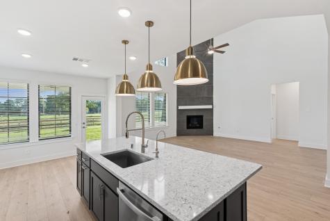 21006 Yellow Ipe Grove Court Tomball TX 77377