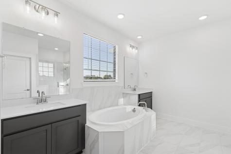 21006 Yellow Ipe Grove Court Tomball TX 77377