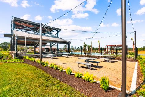 21006 Yellow Ipe Grove Court Tomball TX 77377