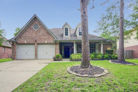 14023 Ivy Bluff Court Houston TX 77062