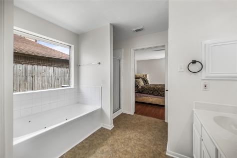 14531 County Cress Drive Houston TX 77047