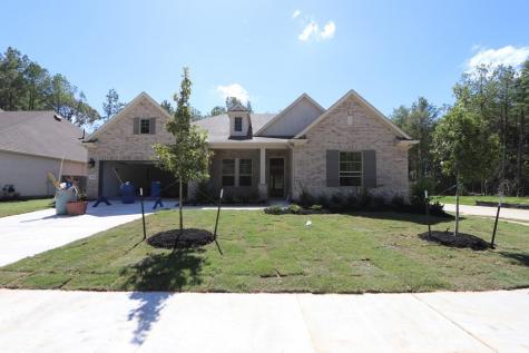 17006 Sweet Iris Court Conroe TX 77302
