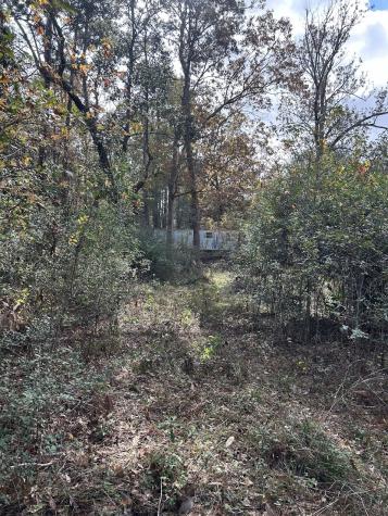 19874 Crystalwood Estates Drive New Caney TX 77357