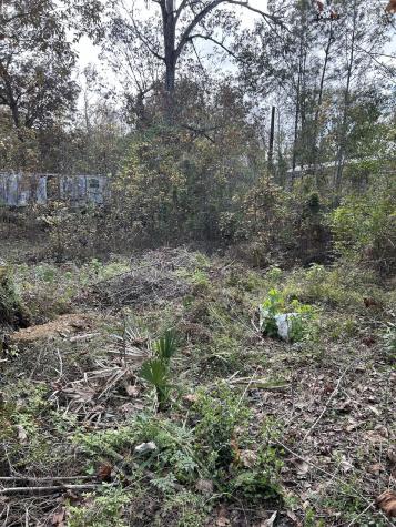 19874 Crystalwood Estates Drive New Caney TX 77357