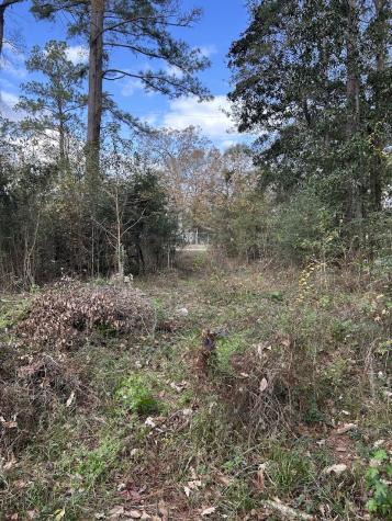 19874 Crystalwood Estates Drive New Caney TX 77357