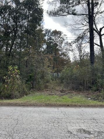 19874 Crystalwood Estates Drive New Caney TX 77357