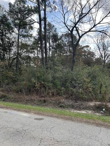 19874 Crystalwood Estates Drive New Caney TX 77357