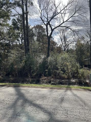 19874 Crystalwood Estates Drive New Caney TX 77357