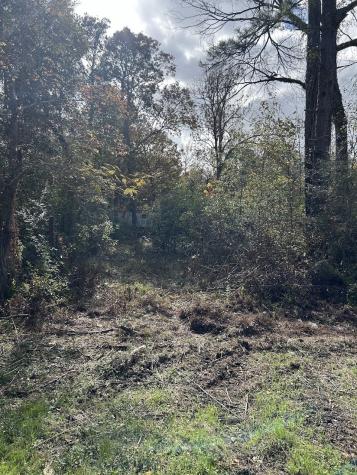 19874 Crystalwood Estates Drive New Caney TX 77357