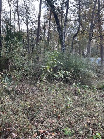 19874 Crystalwood Estates Drive New Caney TX 77357