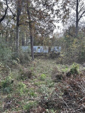 19874 Crystalwood Estates Drive New Caney TX 77357