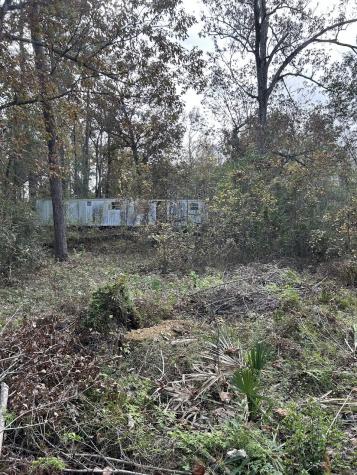 19874 Crystalwood Estates Drive New Caney TX 77357