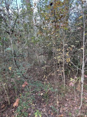 19874 Crystalwood Estates Drive New Caney TX 77357