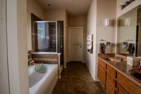 5 Carmel Chase Court Manvel TX 77578