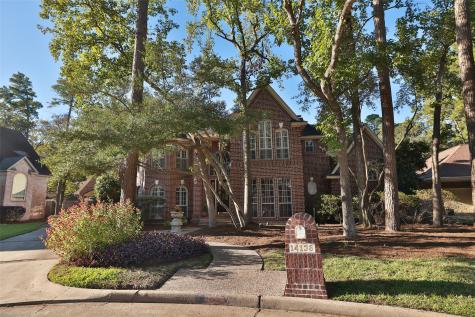 14138 Champion Village Drive Houston TX 77069