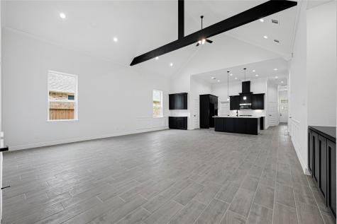 509 Little Spring Court Anahuac TX 77514
