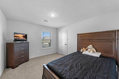 31634 Zoe Point Drive Hockley TX 77447