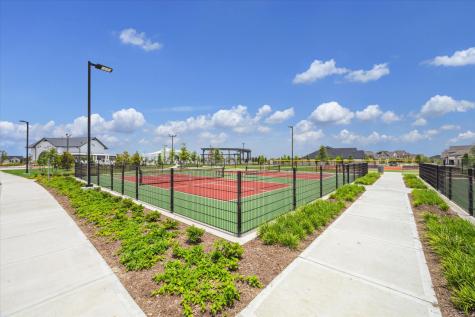 3933 Steer Stable Lane League City TX 77573