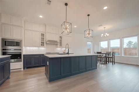 28212 Cedar Peak Drive Spring TX 77386