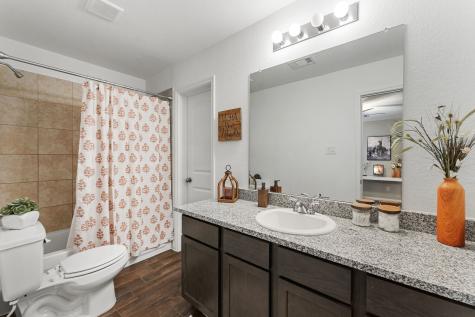 15022 Sorrento Bay Court Willis TX 77318