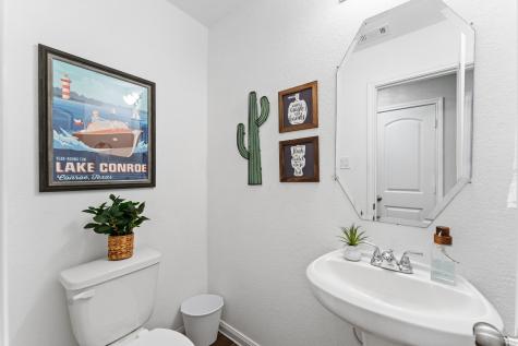 15022 Sorrento Bay Court Willis TX 77318