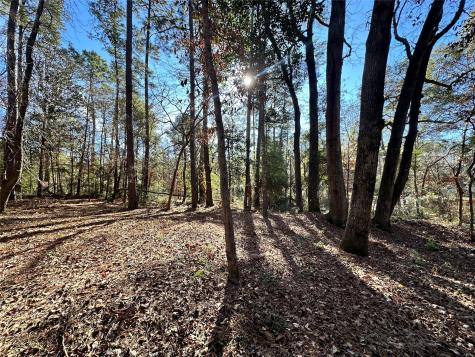 178 Alex Court Livingston TX 77351