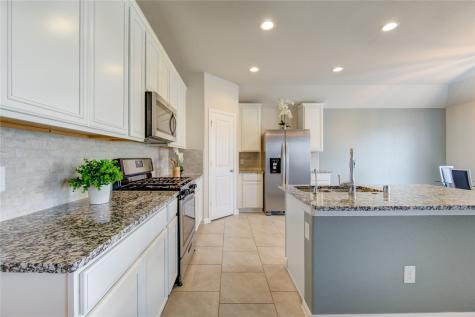 18522 Anderwood Forest Drive Richmond TX 77407