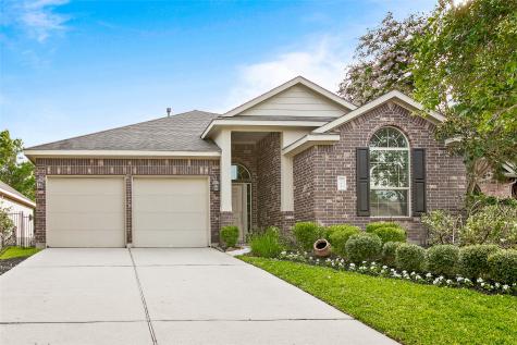 166 Black Swan Place Magnolia TX 77354