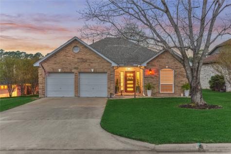 12464 Lake Vista Drive Willis TX 77318