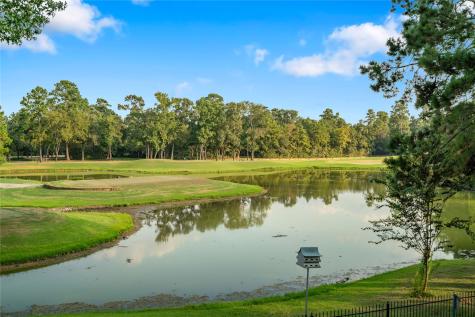 47 Summerwalk The Woodlands TX 77381