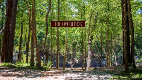 7448 Caprock Canyon Lane Porter TX 77365