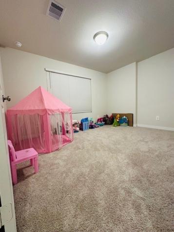 10818 Bodie Hills Drive Rosharon TX 77583