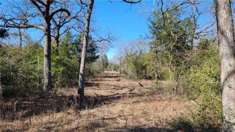 Lot 9 Old Hickory Trail Franklin TX 77856