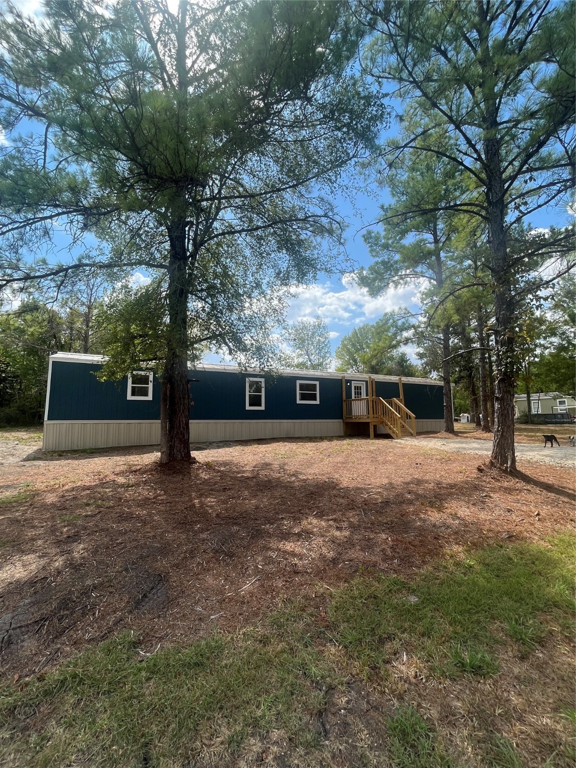 11 Sandra Drive Huntsville TX 77320